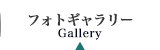 フォトギャラリー