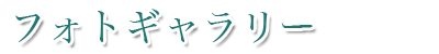 フォトギャラリー